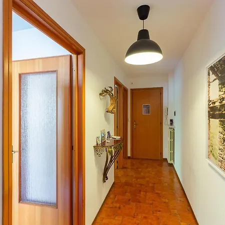 Al Timo Di